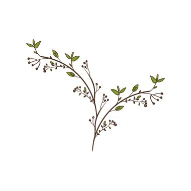 yaprakları ile renkli dekoratif şube