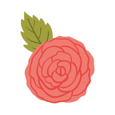 yaprak ile silhuette kırmızı gül