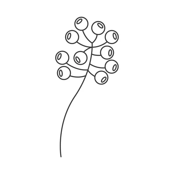 Stupně šedé větev oliv s plody tvarem — Stockový vektor