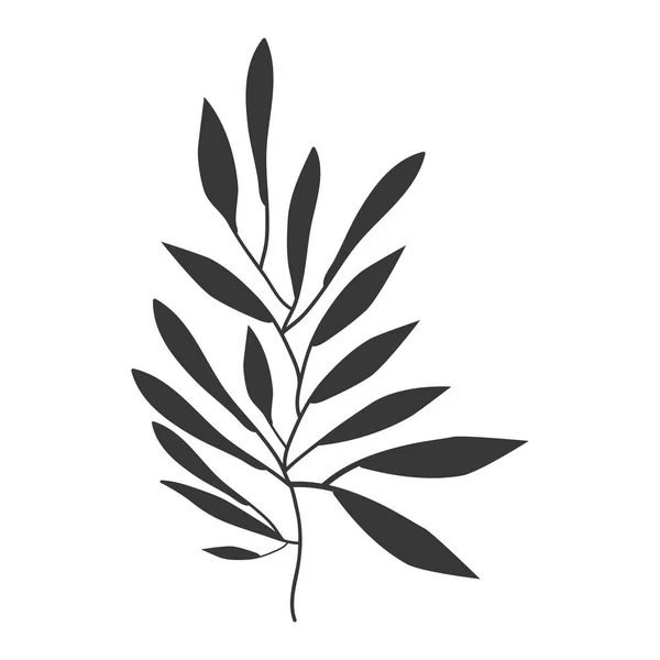 Κλίμακα του γκρι ελιάς με περισσότερα φύλλα — Διανυσματικό Αρχείο