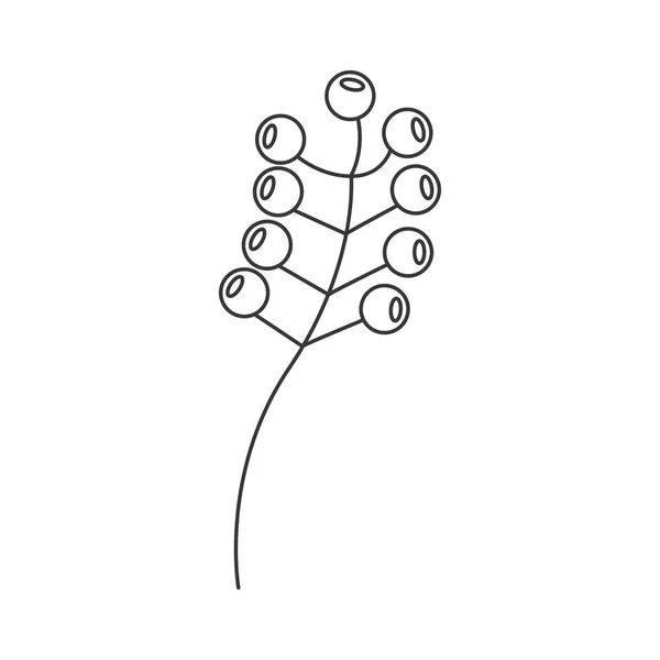 Contorno rama escala gris oliva con más frutas — Vector de stock