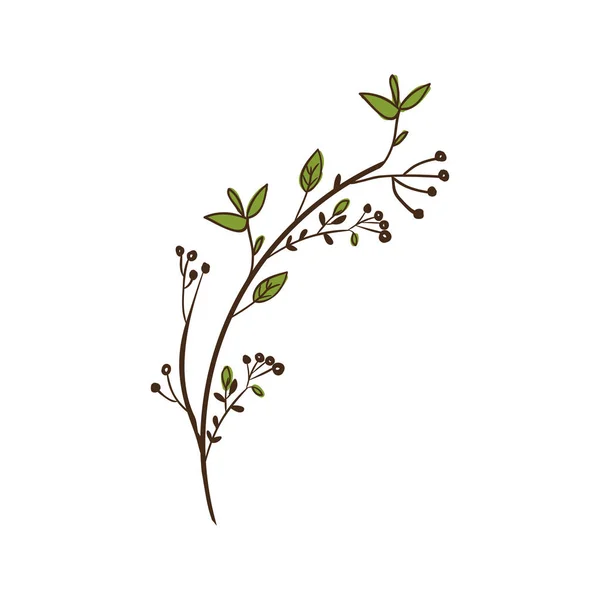Bunter dekorativer Zweig mit Blättern — Stockvektor