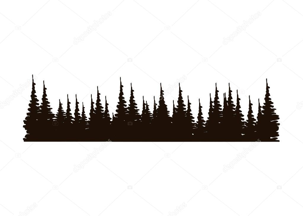 monochrome panoramic forest with pines