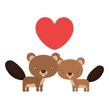 sevimli sincap simgesi