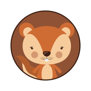 sevimli sincap simgesi