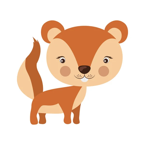 Aranyos mókus ikon — Stock Vector