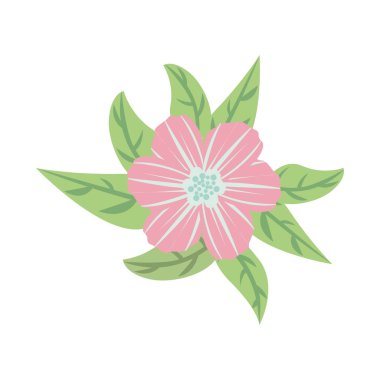 Dekoratif çiçek simgesi