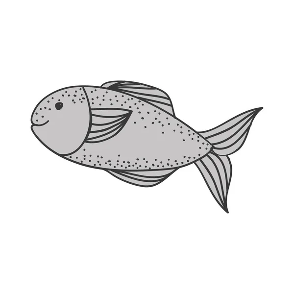 Sea food design — Stock Vector
