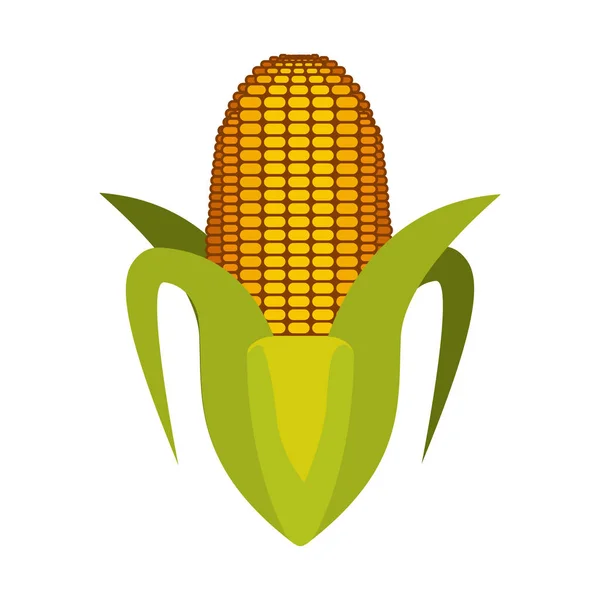 Zuckerbrot-Gemüse-Symbol — Stockvektor