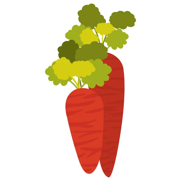 Ícone de cenoura vegetal —  Vetores de Stock