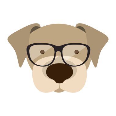 hayvan hipster yaşam tarzı