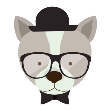 hayvan hipster yaşam tarzı