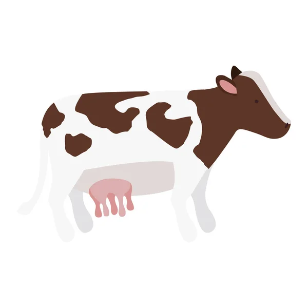牛の動物アイコン — ストックベクタ