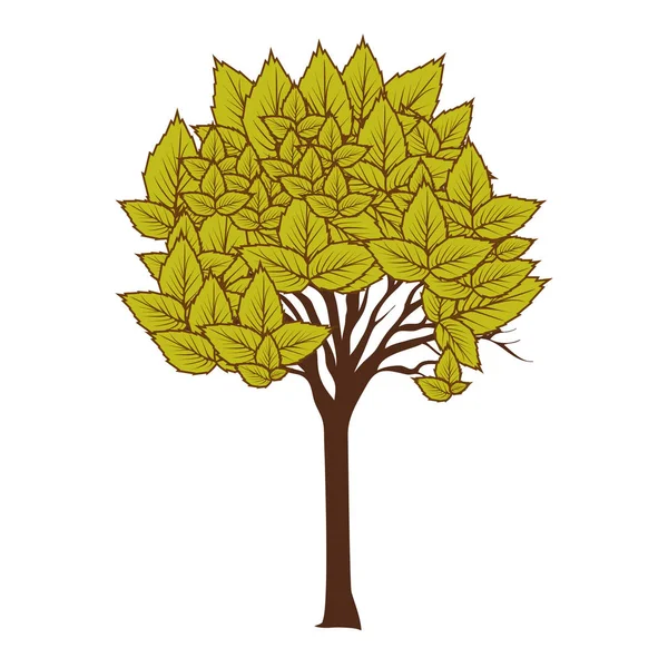 Planta de árbol verde — Vector de stock