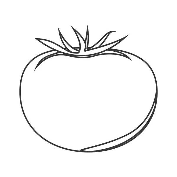 Icono de tomate vegetal — Vector de stock