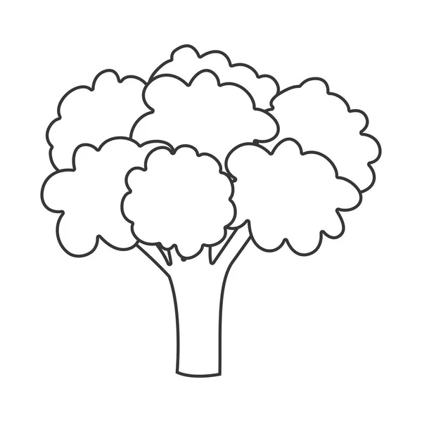 Icône de légumes brocoli — Image vectorielle
