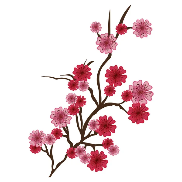 Icône de fleur de cerisier iimage — Image vectorielle