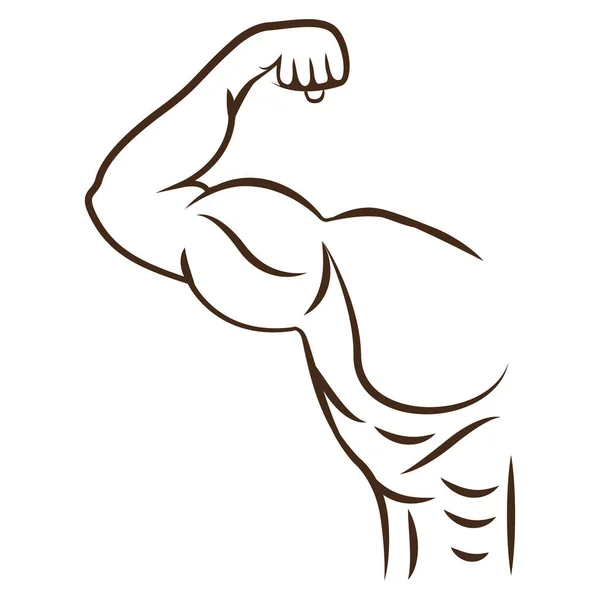 Musculação projeto muscular —  Vetores de Stock