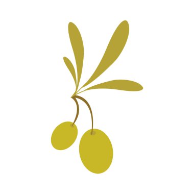 Zeytin yağı tasarımı