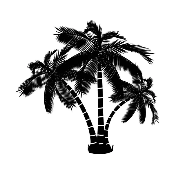 Summer palm tree — Stock Vector