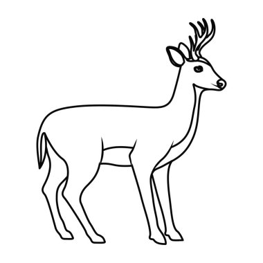 Geyik hayvancılık hayvan tasarım