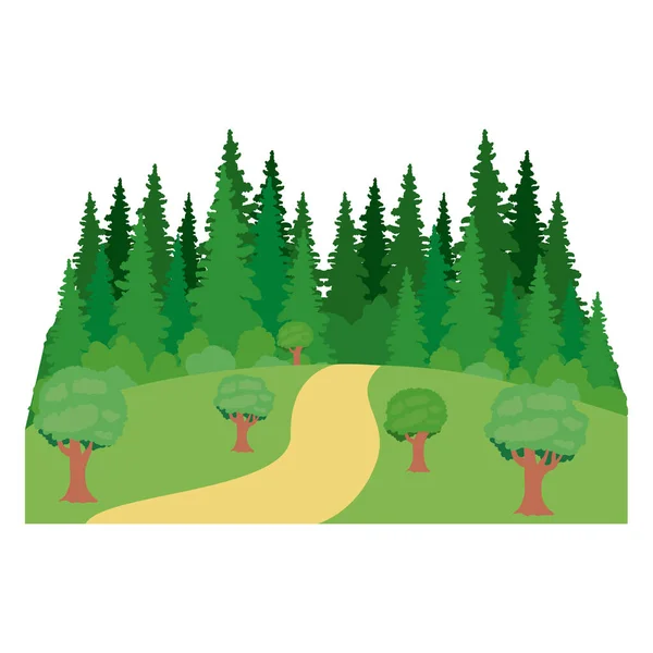 独立的松树树植物设计 — 图库矢量图片