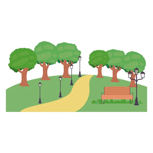 Isolated bench trees and lamp of park design