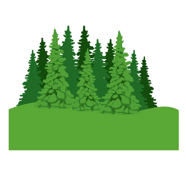 孤立した松の木プラント設計 — ストックベクタ