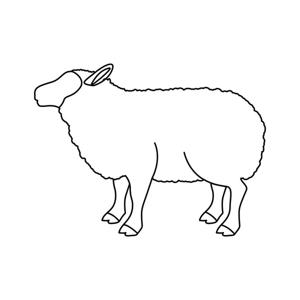 Lamb livestock animal design — Stock Vector