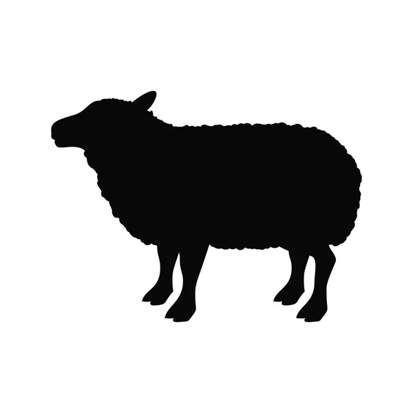 Agneau bétail conception animale — Image vectorielle