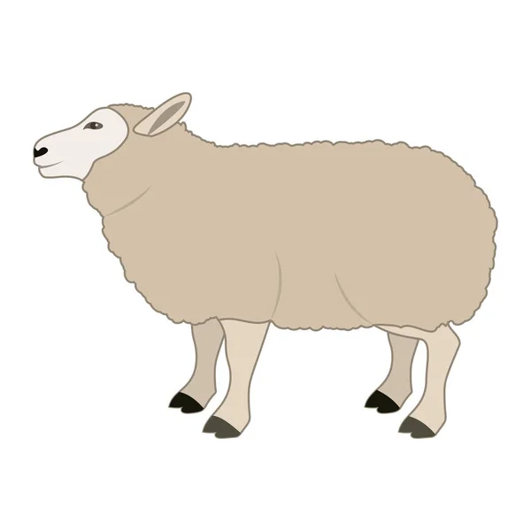 Disegno animale agnello bestiame — Vettoriale Stock