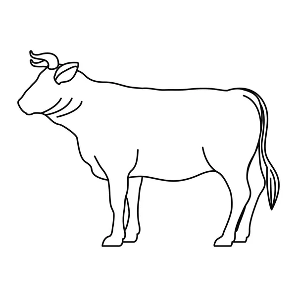 Allevamento bovino disegno animale — Vettoriale Stock