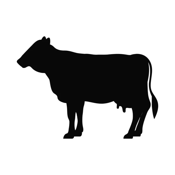 Beet livestock animal design — Stock Vector