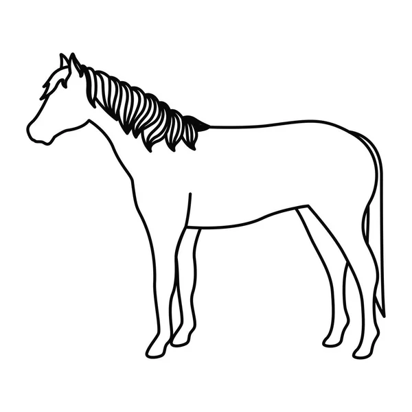 Caballo animal de diseño — Archivo Imágenes Vectoriales