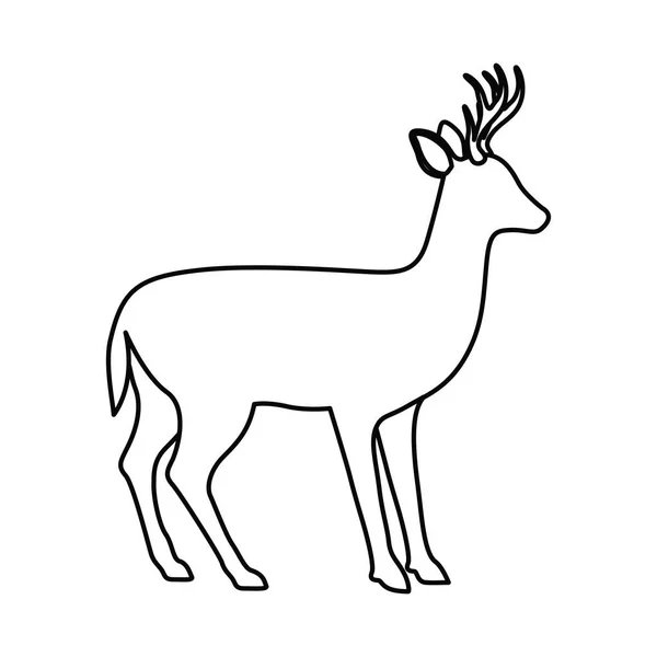 Deer livestock animal design — Stock Vector
