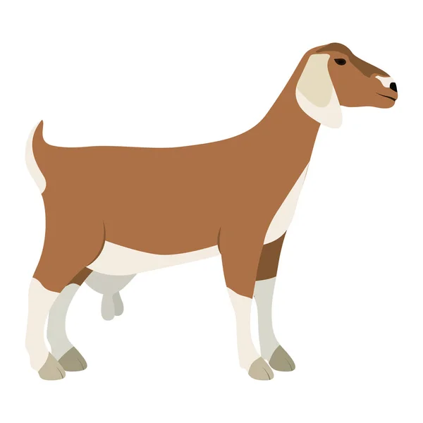 Cabra ganadería diseño animal — Vector de stock