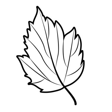 Yaprak Sonbahar sezonu tasarım