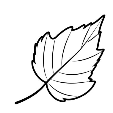 Yaprak Sonbahar sezonu tasarım