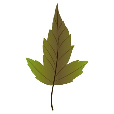 Yaprak Sonbahar sezonu tasarım