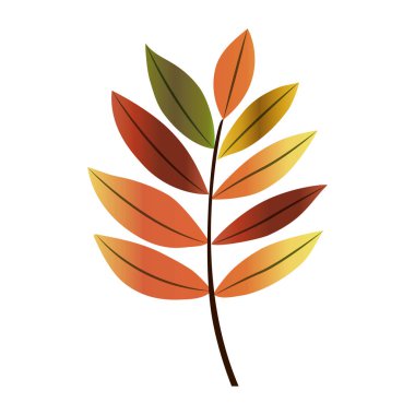 Yaprak Sonbahar sezonu tasarım