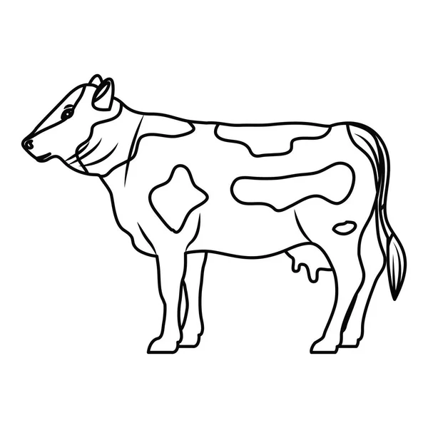 Disegno animale bestiame da barbabietola — Vettoriale Stock