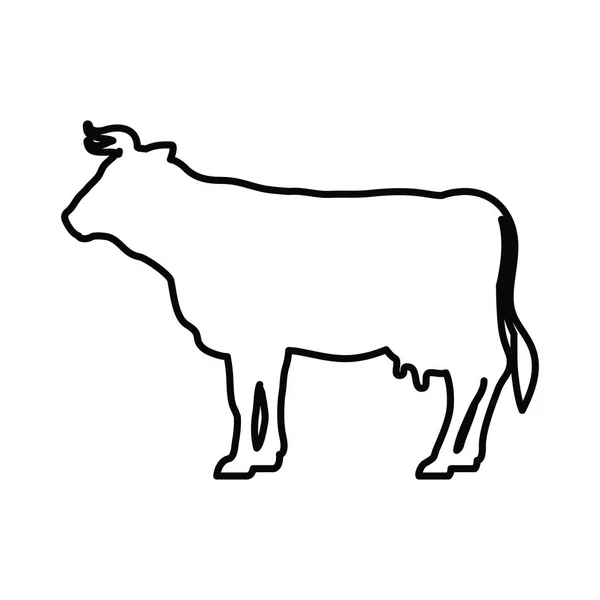 牛家畜動物デザイン — ストックベクタ