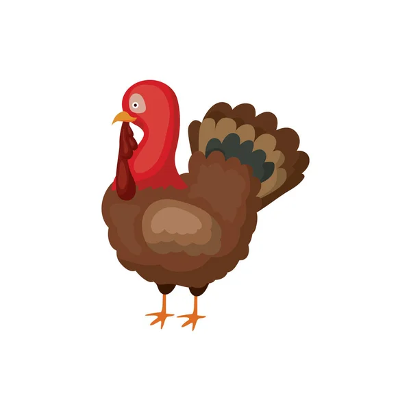 感謝祭デザインのトルコ — ストックベクタ
