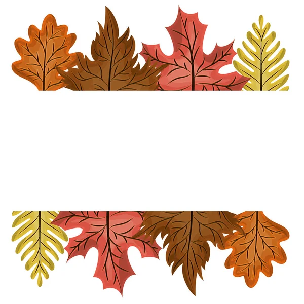 Leaves of autumn season design — Stock Vector