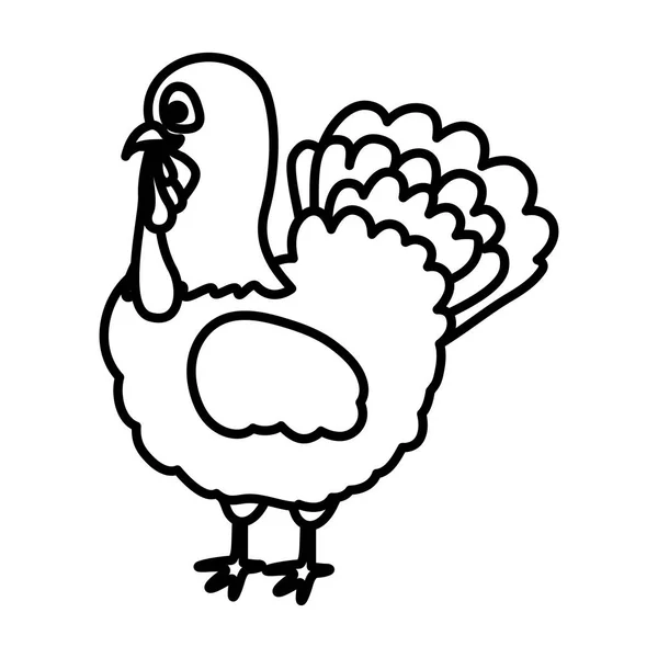 Turkey of Thanksgiving design — Stock Vector