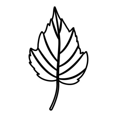 Yaprak Sonbahar sezonu tasarım