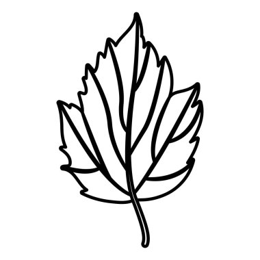 Yaprak Sonbahar sezonu tasarım