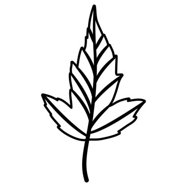 Yaprak Sonbahar sezonu tasarım