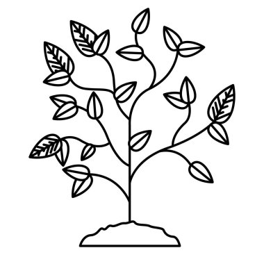 Yaprak tasarımı ile bitki