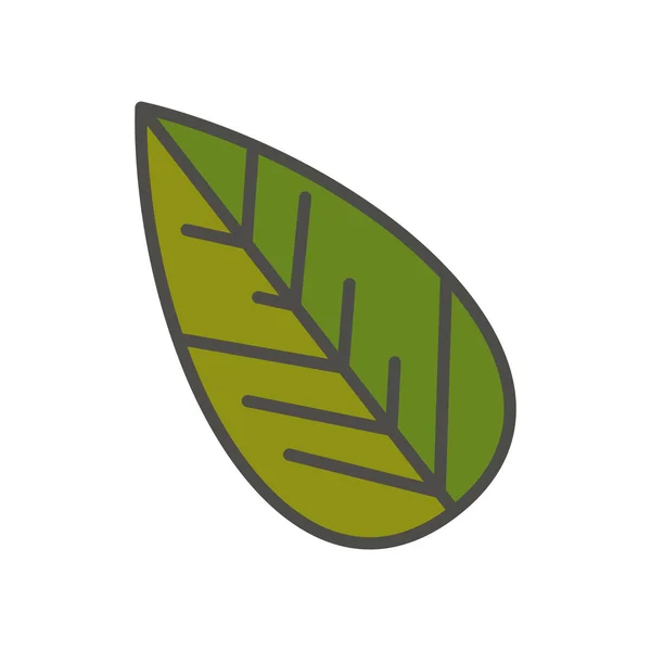 İzole yaprak tasarımı — Stok Vektör